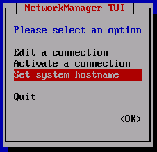 Set system hostname